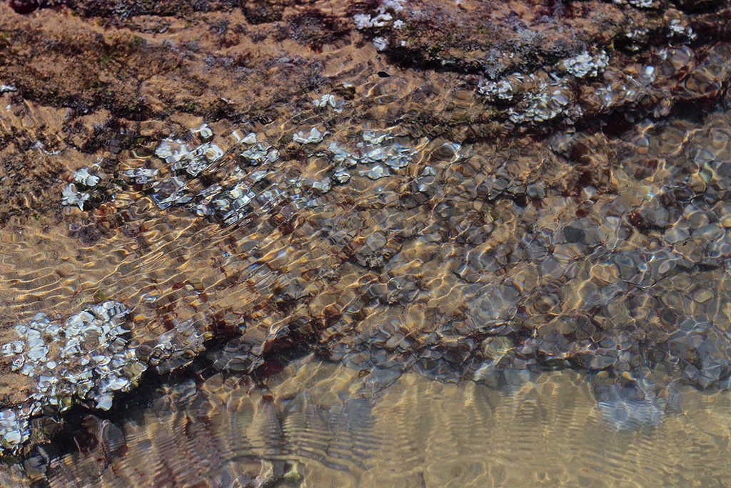 photo monte-clerigo-beach-01.png