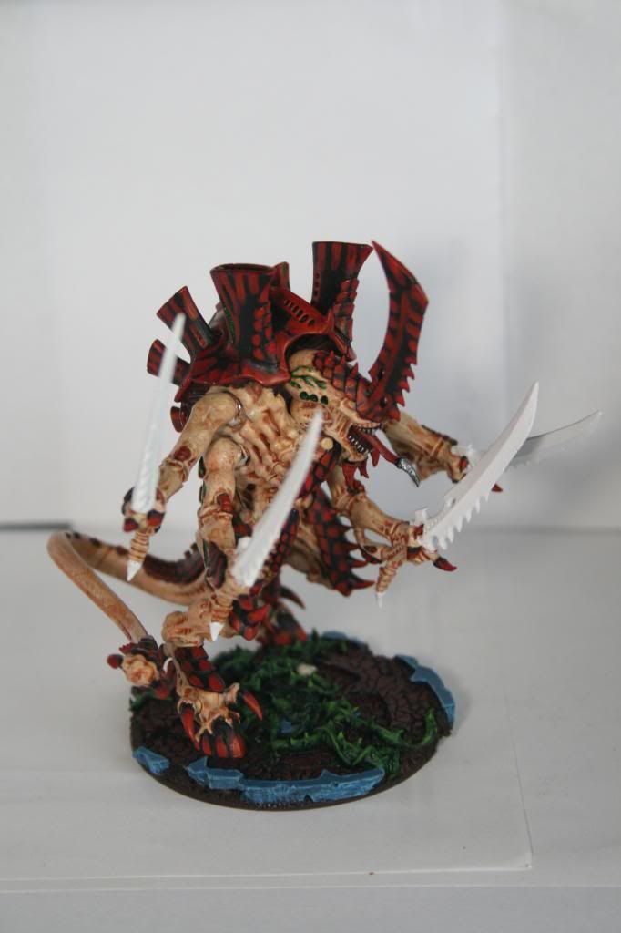 Swarmlord right photo IMG_5617_zps7f7d77a5.jpg
