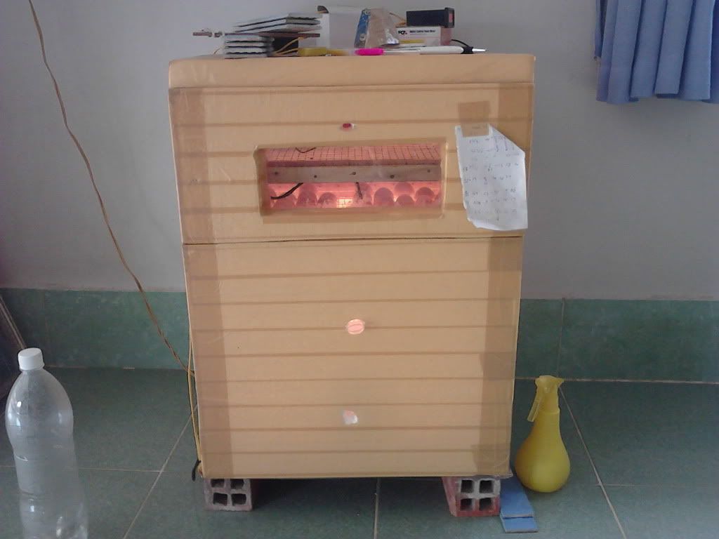 mơi làm cái máy ấp trưng ae chỉ bả thiêm