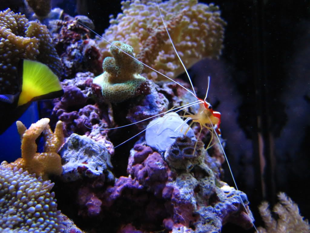 FishJune2010003.jpg