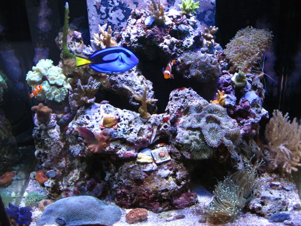 FishJune2010019.jpg