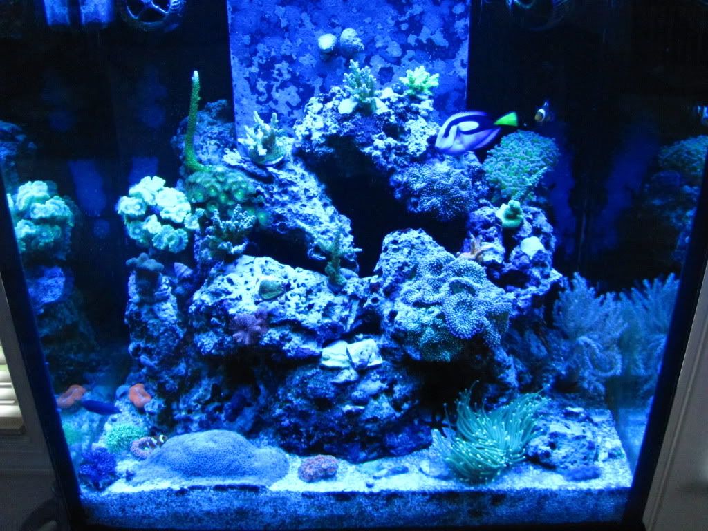 FishJune2010034.jpg