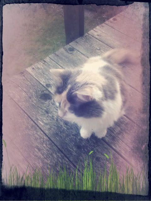 2072051915_photobucket_162555_