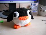 th_DSCN0817.jpg
