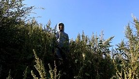 http://i907.photobucket.com/albums/ac275/mathisvogel/zombrising_zpsa2d548bd.jpg