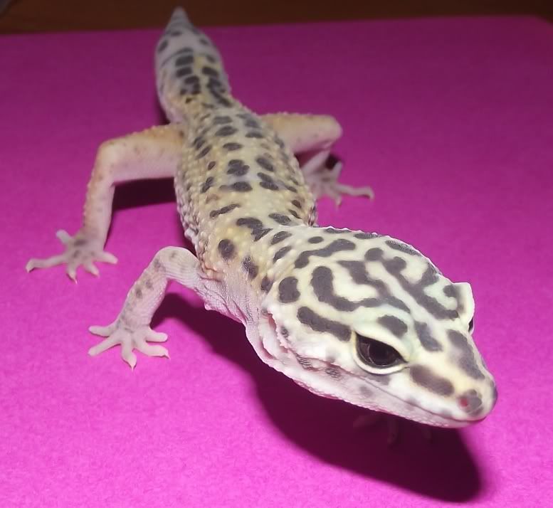 DSCF1049.jpg