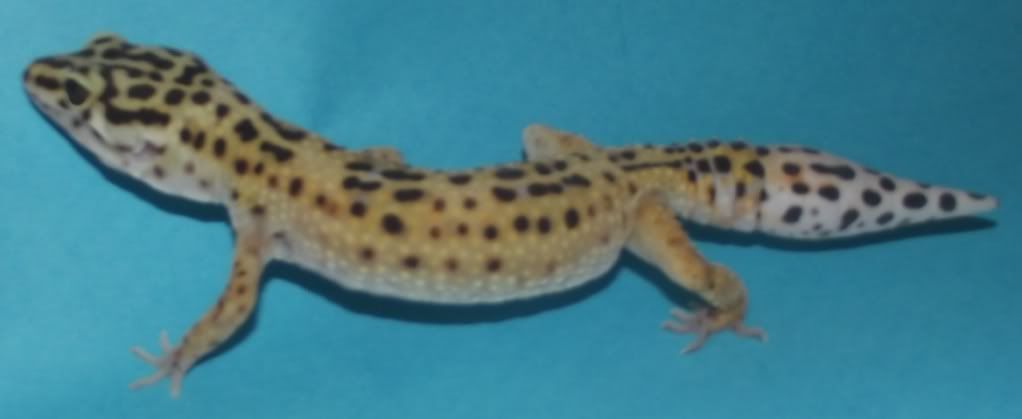 DSCF1352.jpg