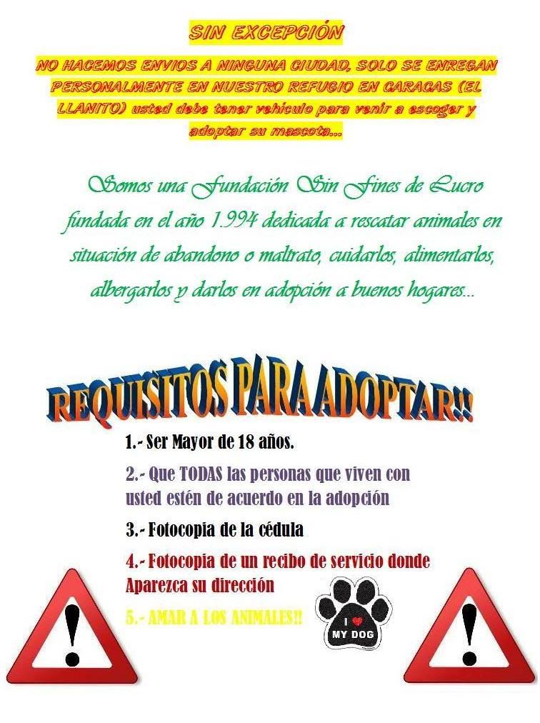 cachorros cachorros