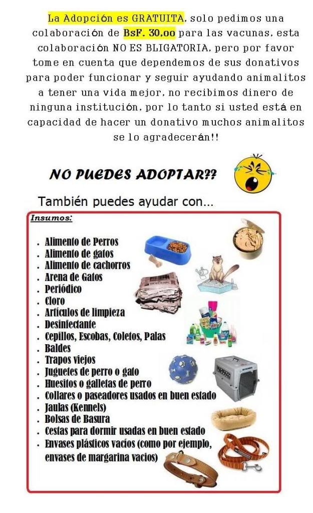 gratis gratis