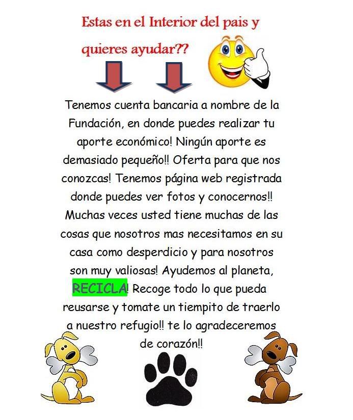 perros perros