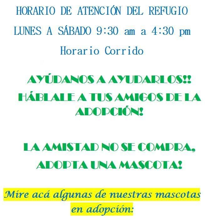 cachorros cachorros