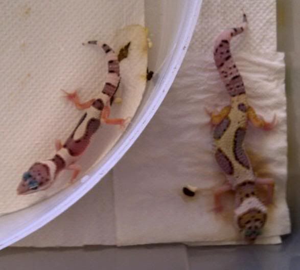 IMG-20110913-00659.jpg