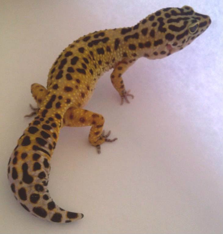 IMG-20111117-00754.jpg