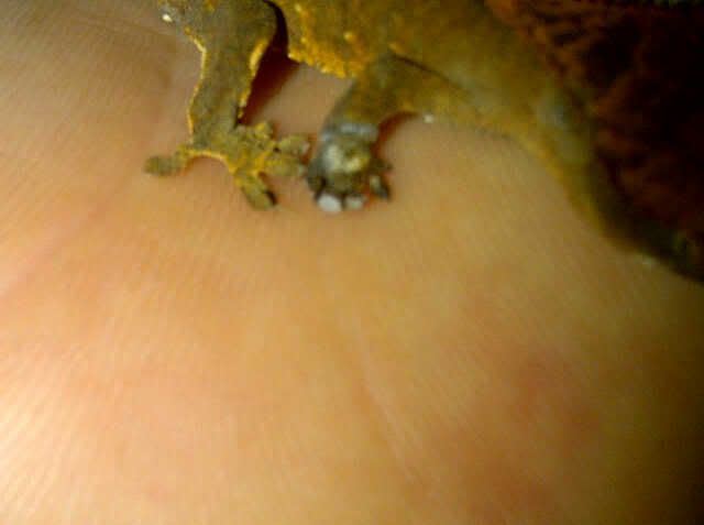 IMG-20111207-00415.jpg