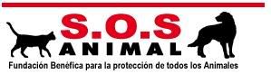En Adopción Bellos Cachorros Rottweiler Con Pastor Alemán En Adopción Bellos Cachorros Rottweiler Con Pastor Alemán
