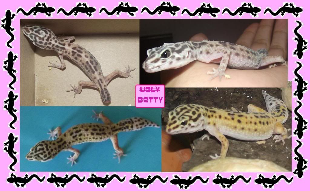 bettycollage.jpg