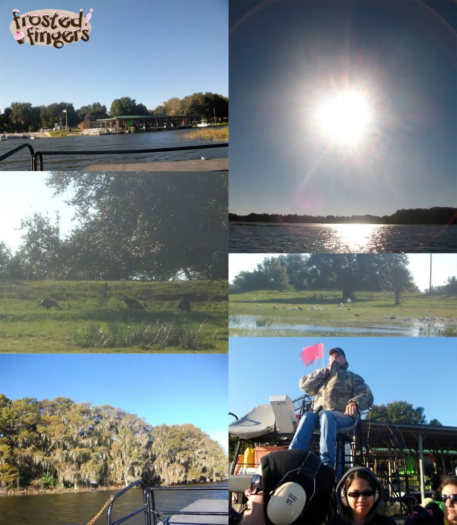 boggy creek,airboat,brandcation