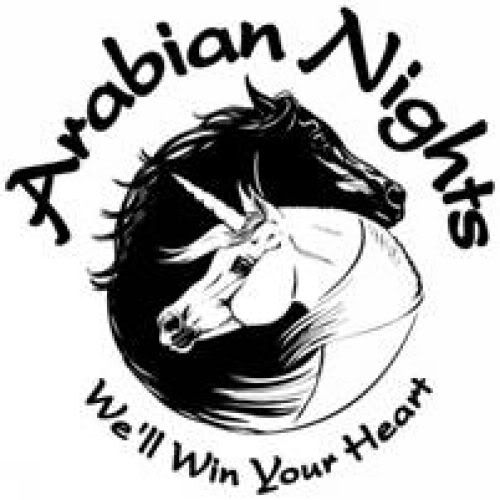 arabian nights,brandcation