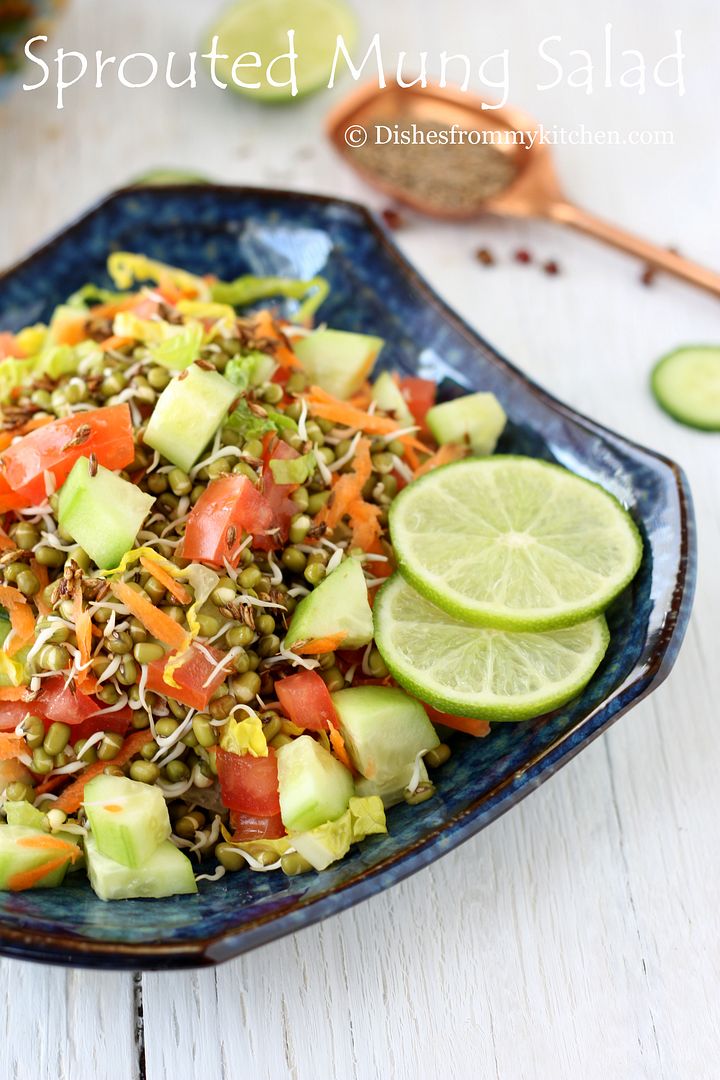 Dishesfrommykitchen SPROUTED MUNG BEAN SALAD