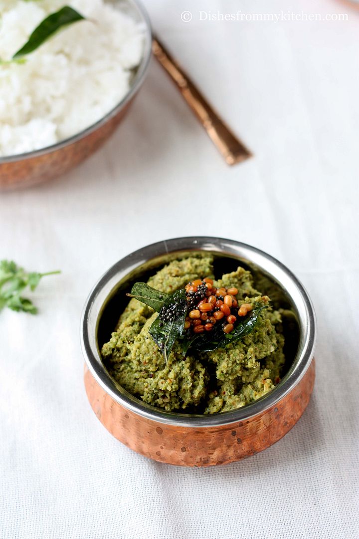 dishesfrommykitchen-ridge-gourd-peel-chutney-thogayal