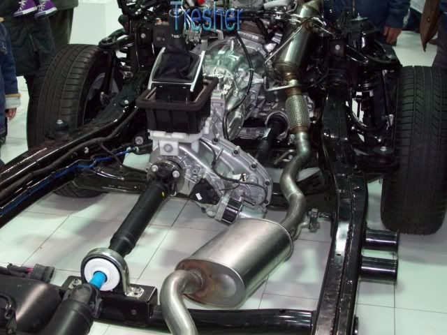 amarok amarok