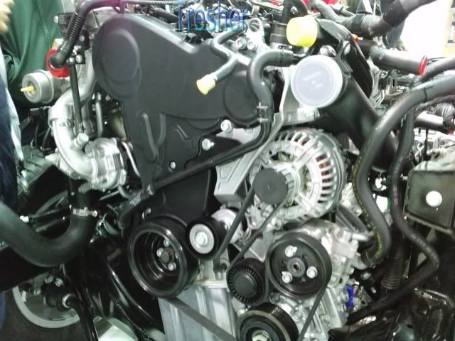 amarok amarok