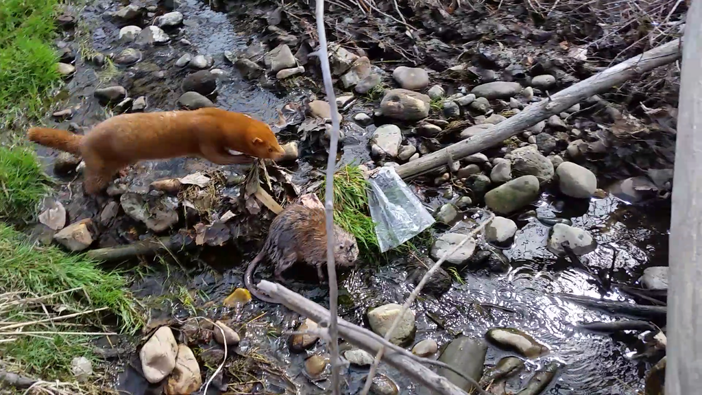 Screenshot_2015-03-16-09-52-12_zpspmcdyi