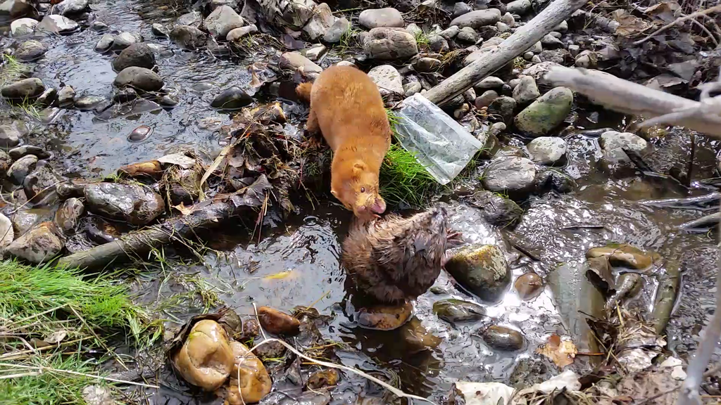 Screenshot_2015-03-16-09-55-40_zpsxggroj