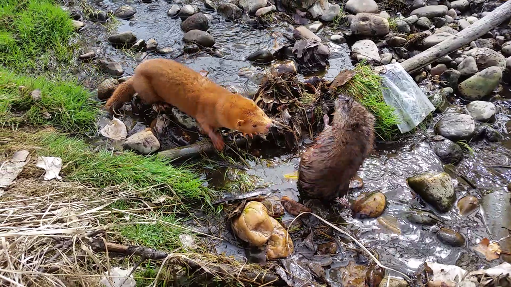 Screenshot_2015-03-16-09-56-11_zpsi8nml1